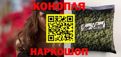 крисы Бузулук