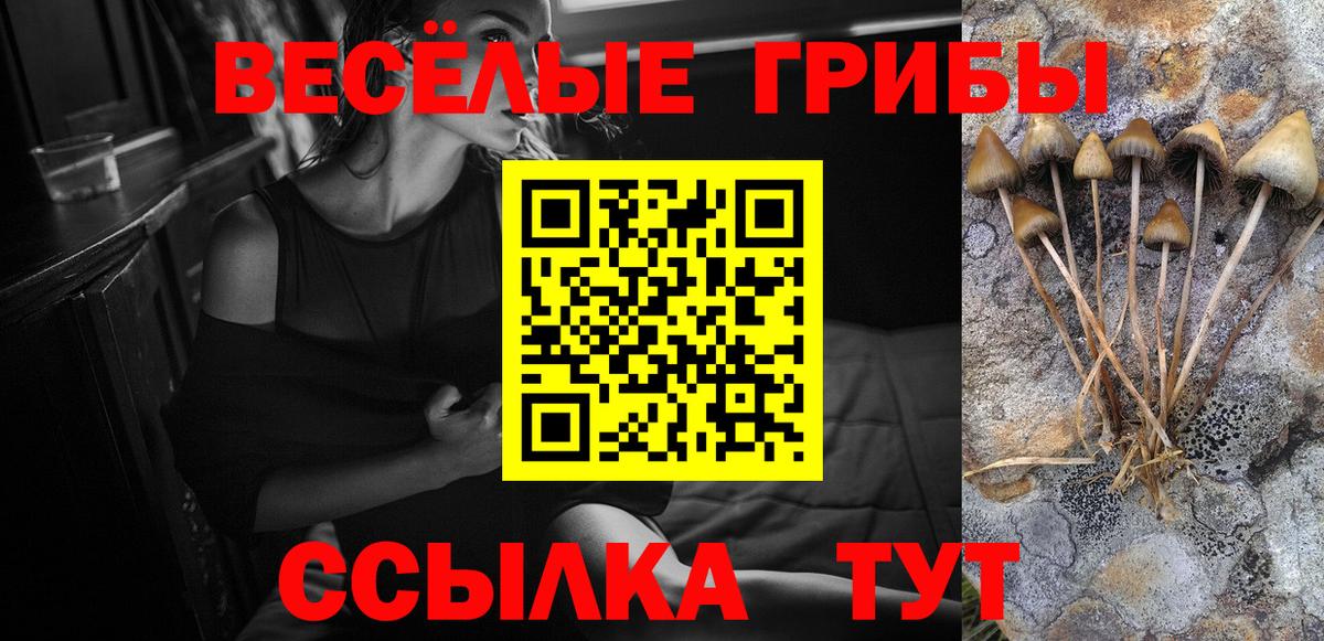 Галлюциногенные грибы прущие грибы  Галлюциногенные грибы Magic Shrooms  Вход с VPN  Топки 